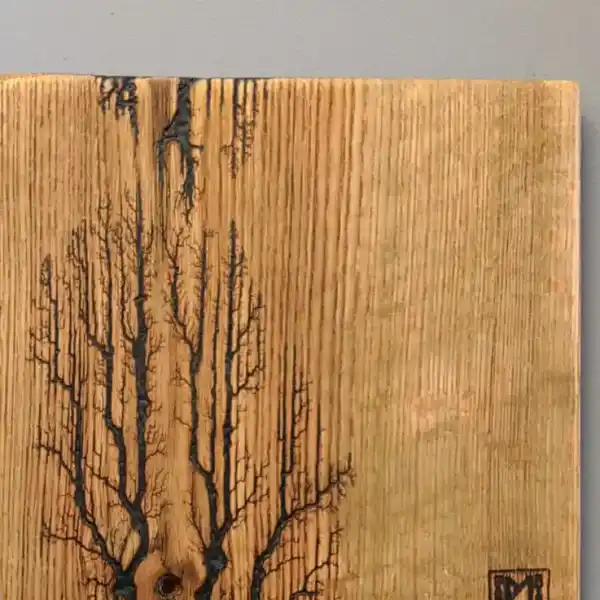 2 wood burning 013