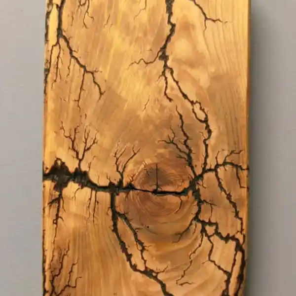 wood burning 001