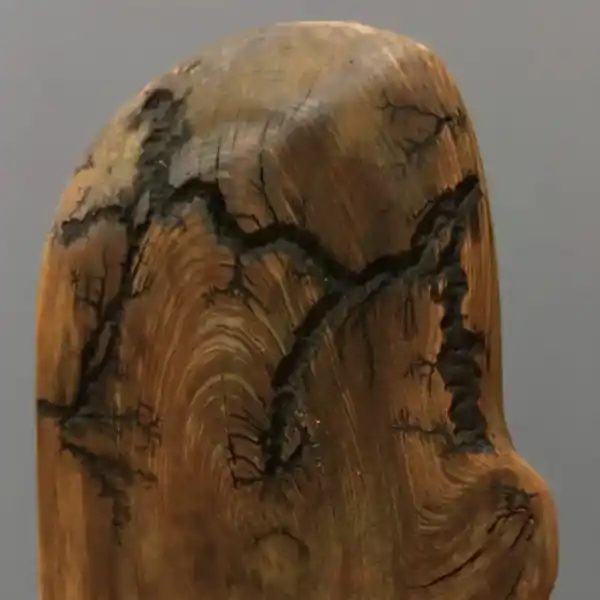 wood burning 006